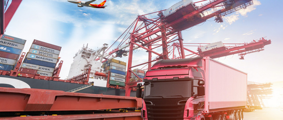 自理报关与代理报关 企业进出口通关的双路径选择