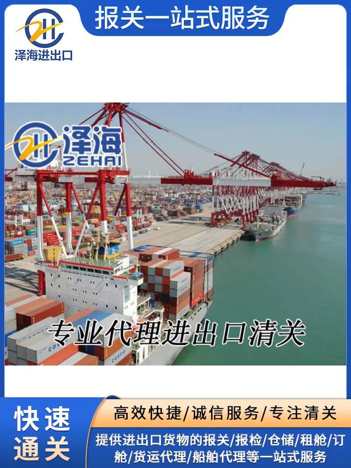 深圳蛇口码头代理进口清关服务指南 泽海进出口公司助力企业高效通关